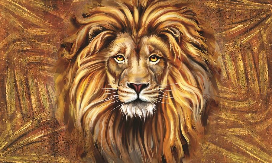 Best Animal Wallpaper with Lion Painting best buy for animal lovers Best Animal Wallpaper with Lion Painting best buy for animal lovers