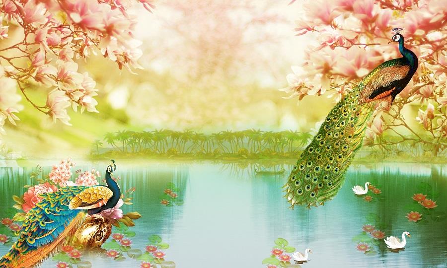 Beautiful Lake view with Peacock Beautiful Lake view with Peacock