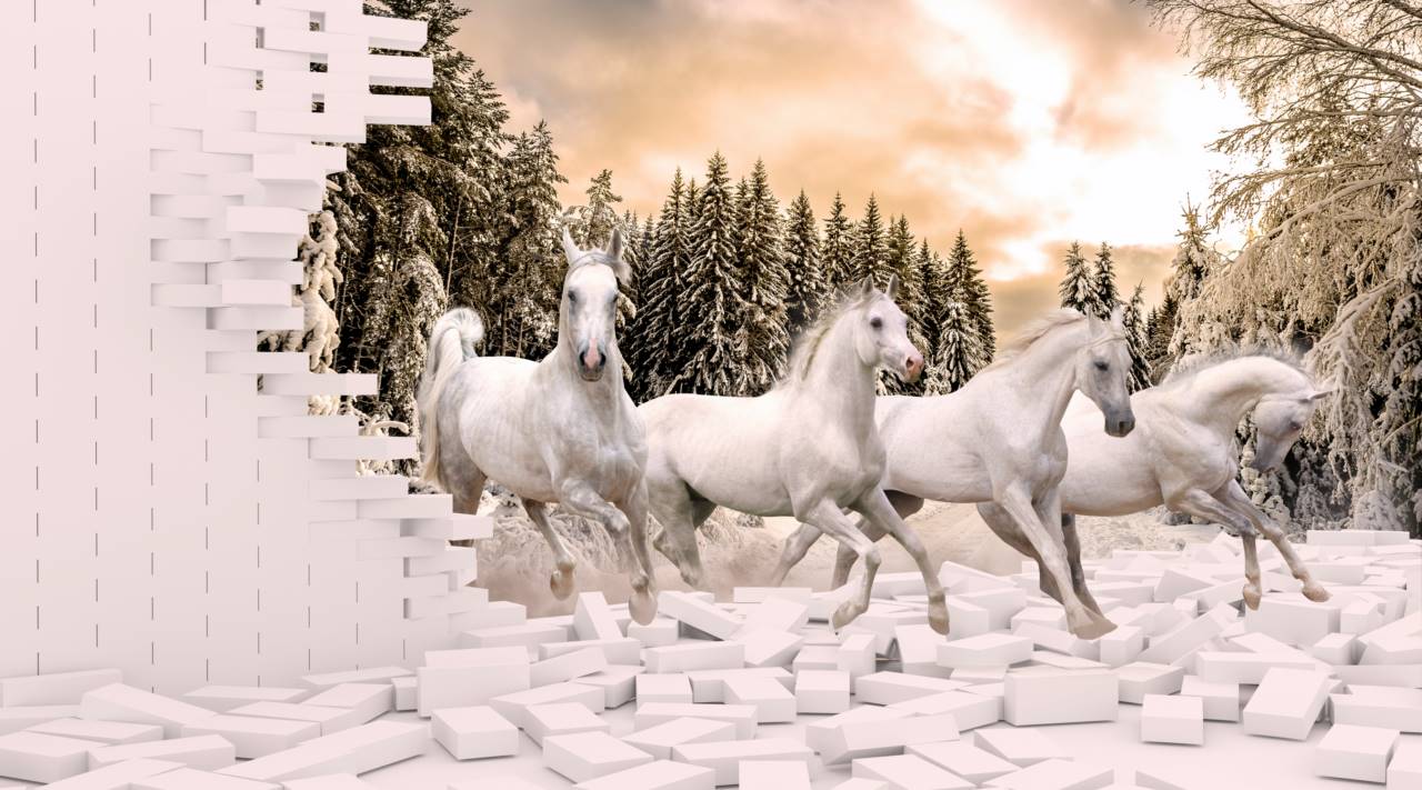 White Running Horse Wallpaper for Wall White Running Horse Wallpaper for Wall
