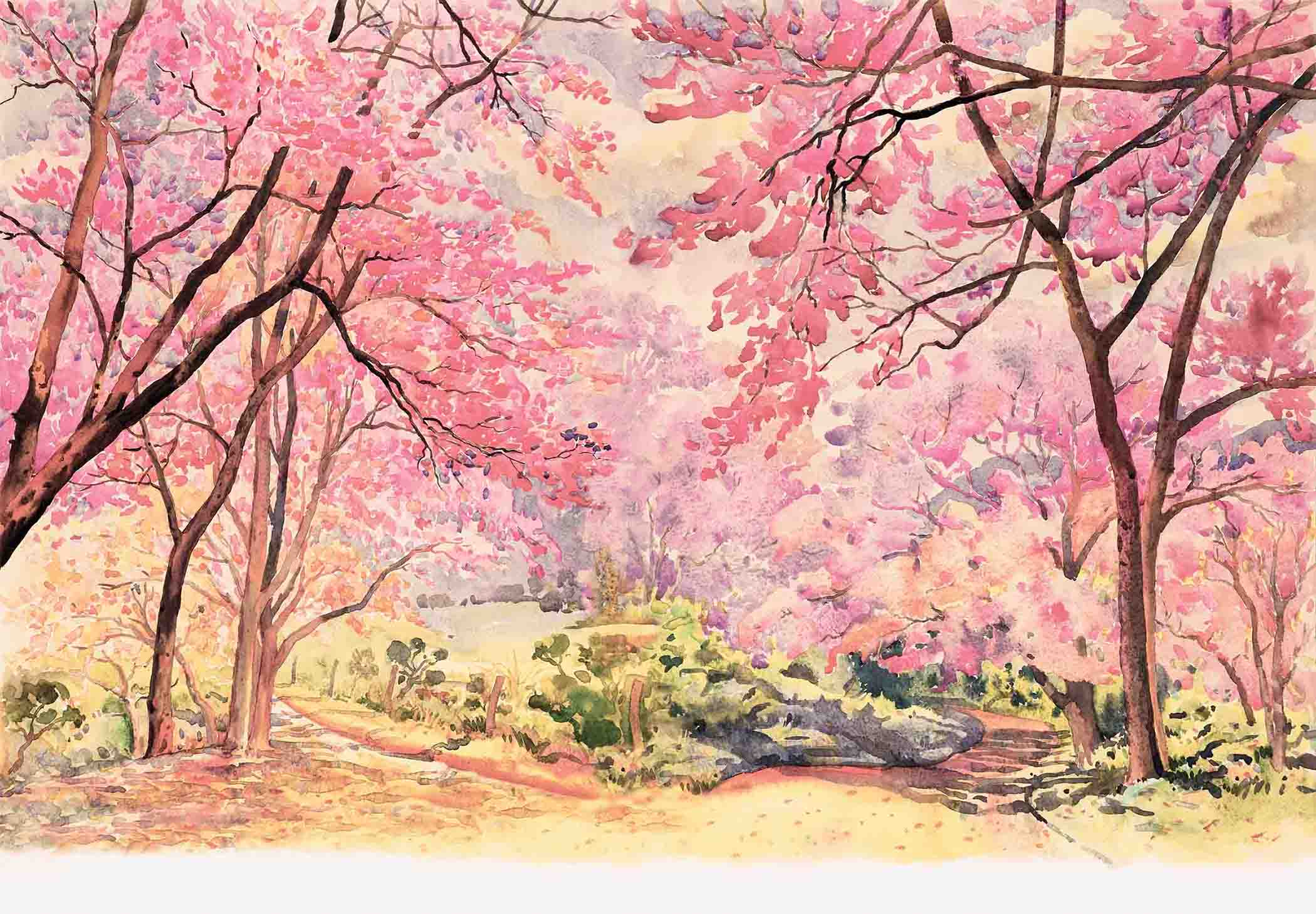 61+] Pink Nature Wallpaper - WallpaperSafari