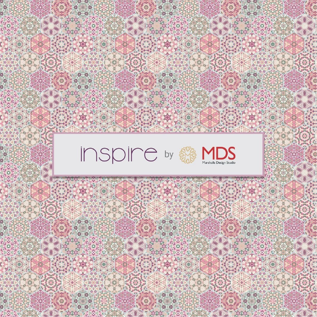 Inspire Ⅰ