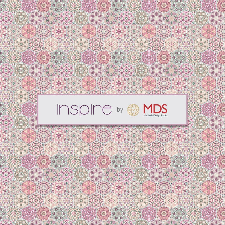 Inspire Ⅰ