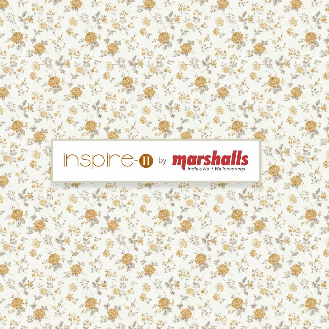 Inspire Ⅱ