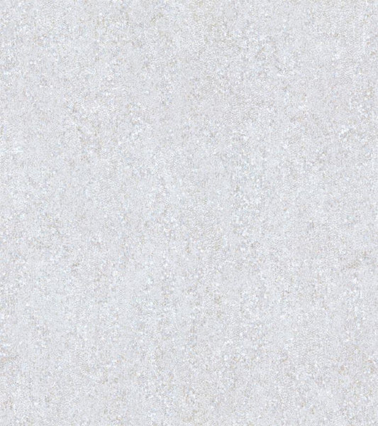 Shimmer and Shine (17704)