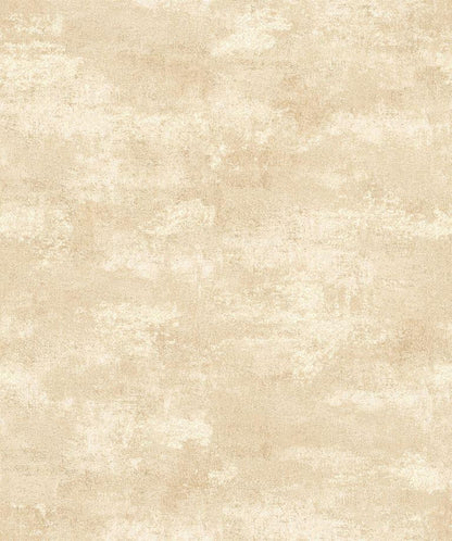 Shimmer and Shine (17705)