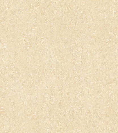 Shimmer and Shine (17706)