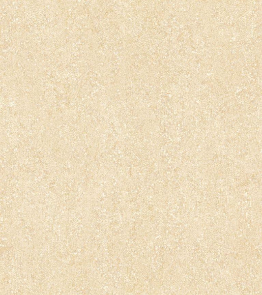 Shimmer and Shine (17706)