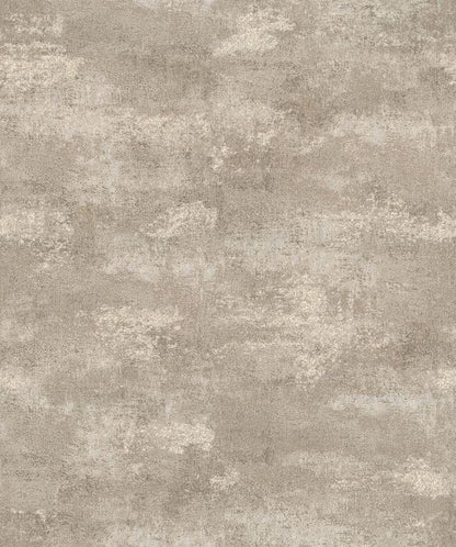 Shimmer and Shine (17709)
