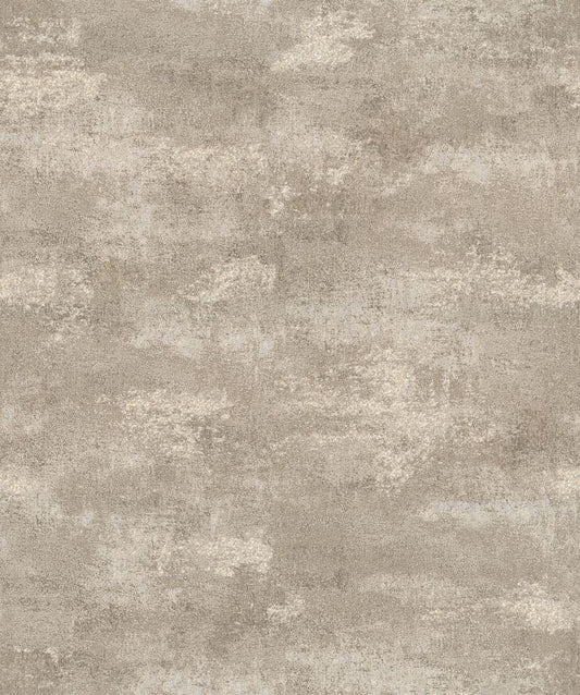 Shimmer and Shine (17709)