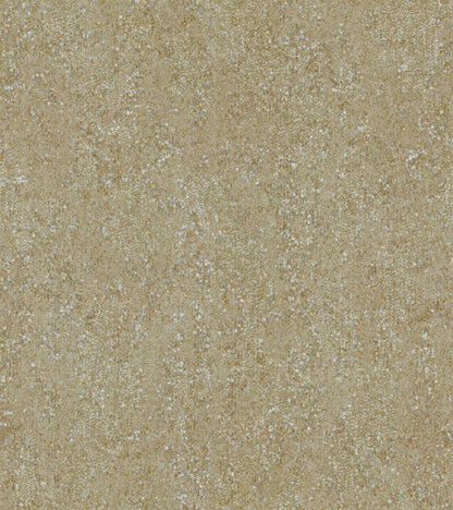 Shimmer and Shine (17710)