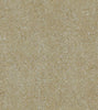 Shimmer and Shine (17710)