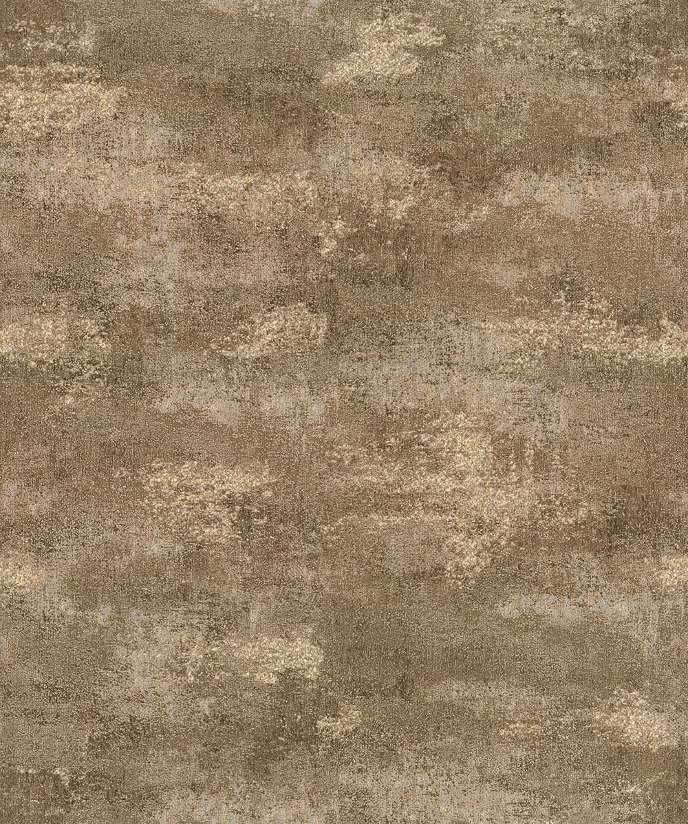 shimmer and shine (17711)