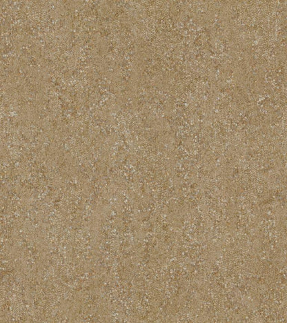 Shimmer and Shine (17712)