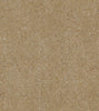 Shimmer and Shine (17712)