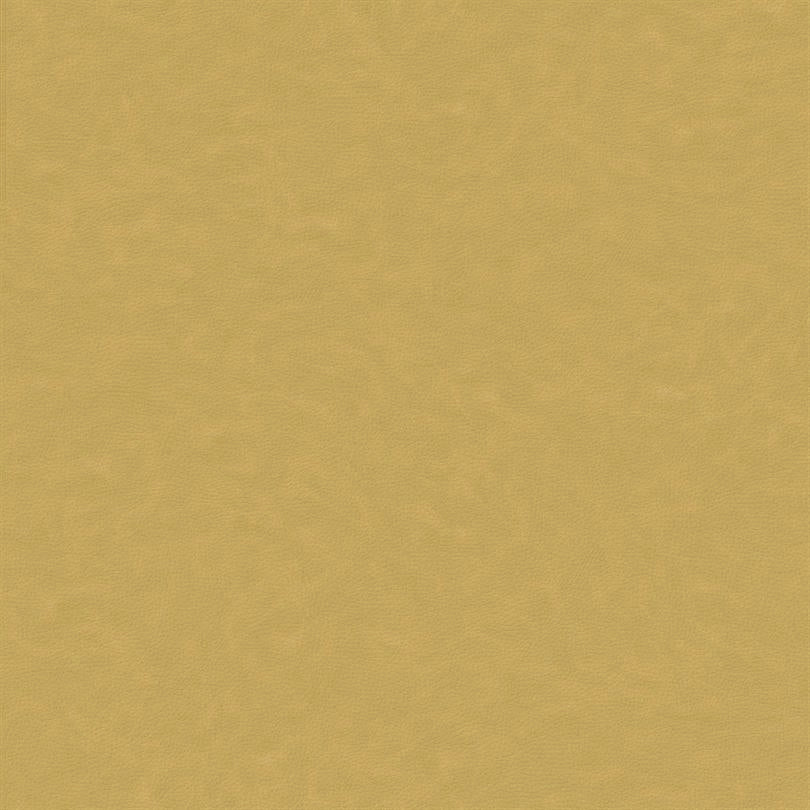 discount sale(2s1117)