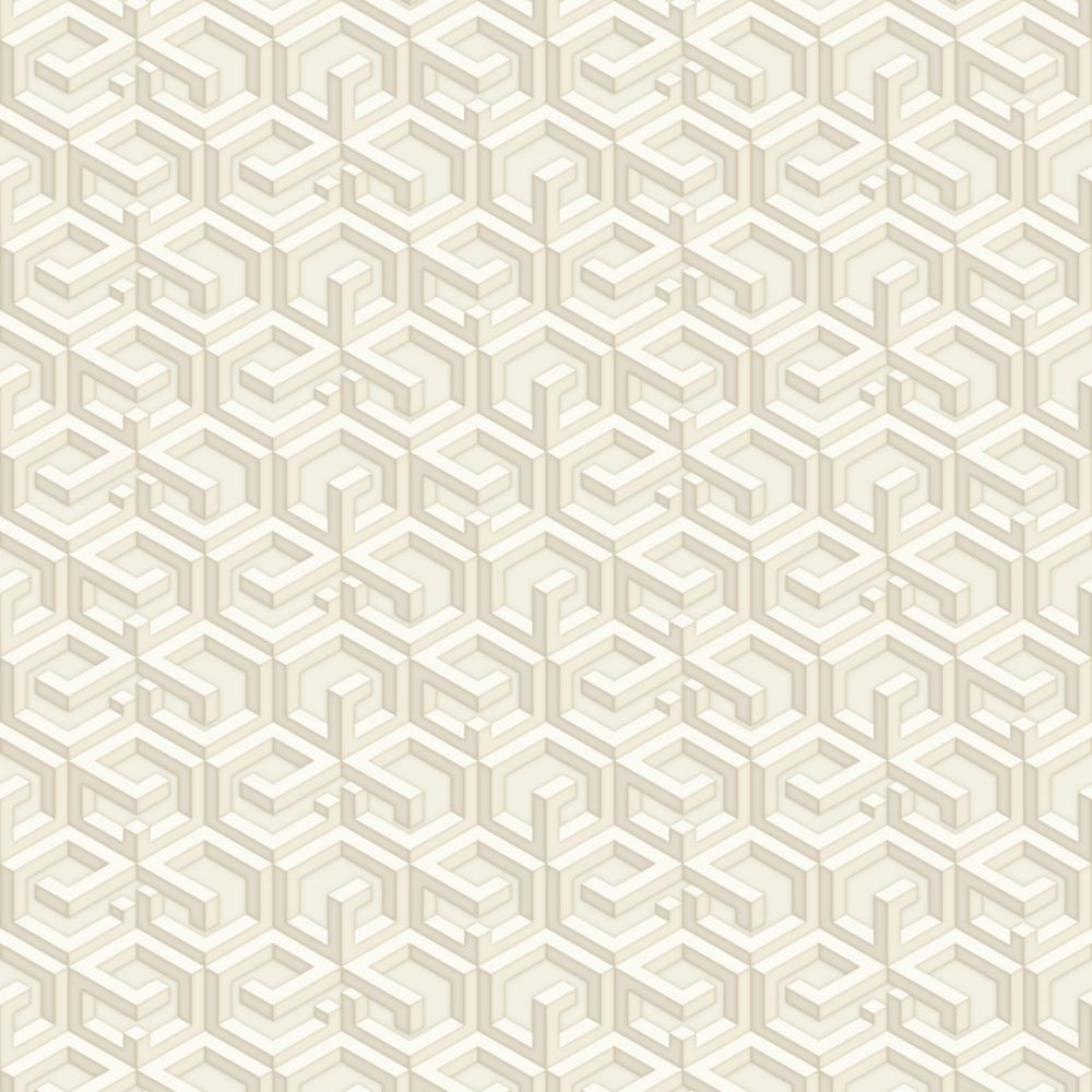sale(54323-2)