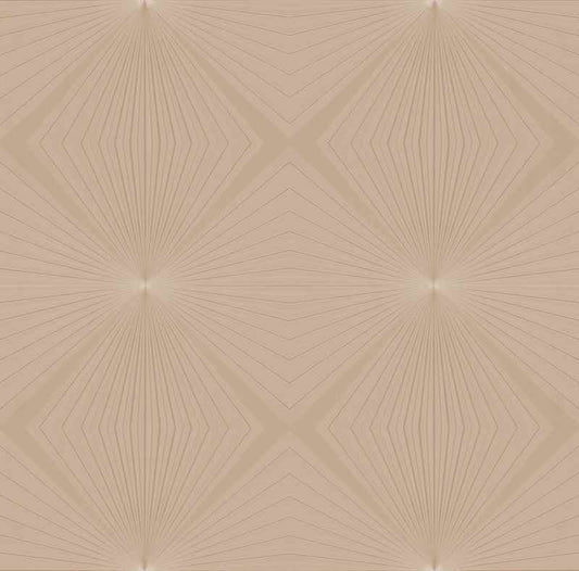 Discount Sale(54412)