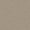 Discount Sale(55557)