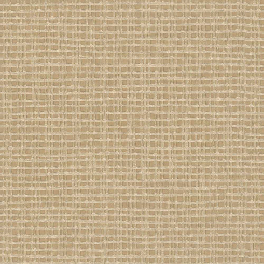 Discount Sale(55568)