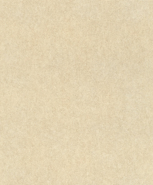 Discount Sale(617344)