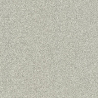Ash Grey Stucco (70274-4)