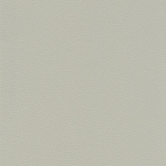 Ash Grey Stucco (70274-4)