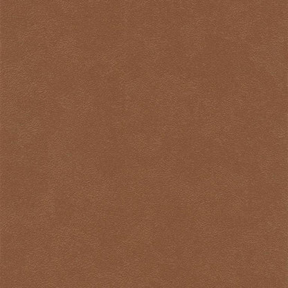 Terracotta Earth (70275-5)