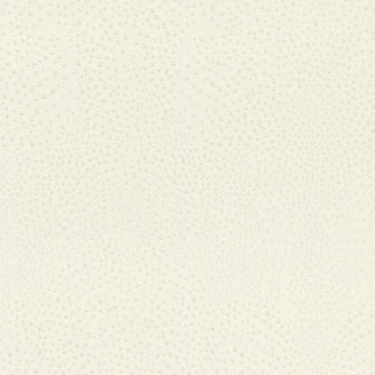 Sandstorm (751536)