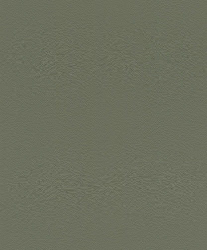 Silky Sands (752687)