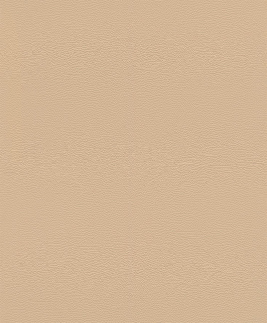 Silky Sands (752694)