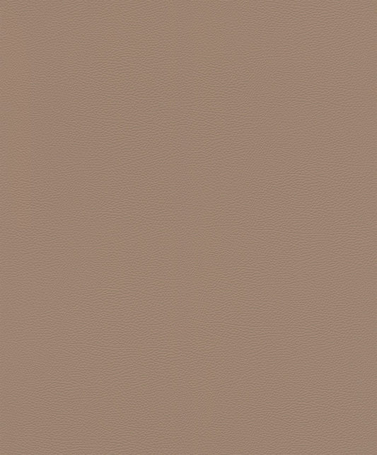 Silky Sands (752724)