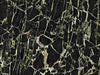 Black Marble with Gold Veins (84601)