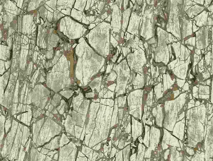 Cracked Stone Texture (84603)
