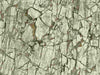 Cracked Stone Texture (84603)
