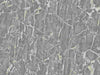 Dark Grey Cracked Marble (84608)