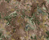 Earthy Tones Abstract Marble (84613)