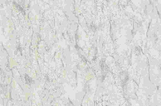 Light Grey Cracked Texture (84627)