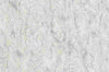 Light Grey Cracked Texture (84627)