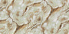 Organic Agate Texture (84651)