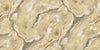 Gold and Beige Abstract Marble (84653)