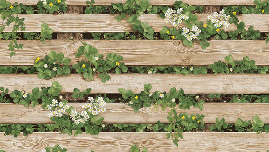 Rustic Wood Planks (87020-2)