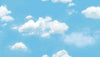 Cloudy Blue Sky (88421-2)