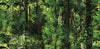 Jasmine Hedge Pattern (88639-1)