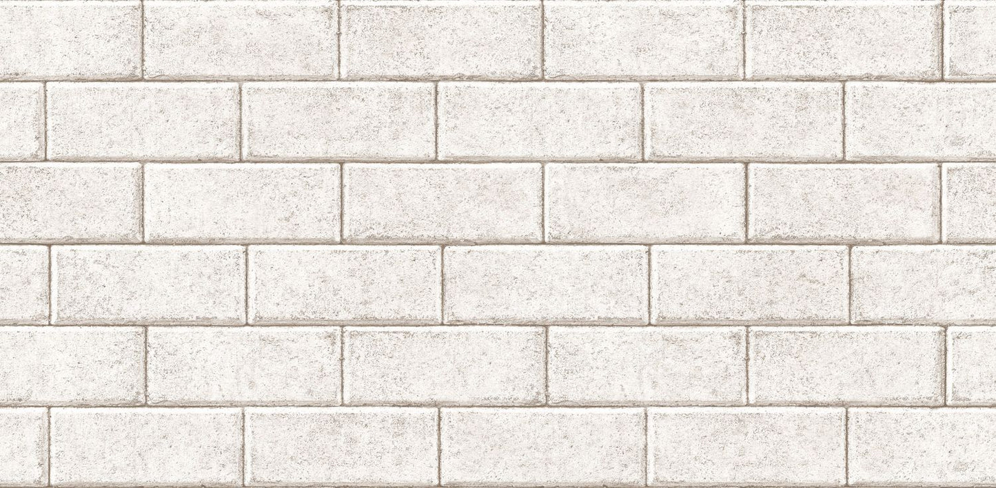 white concrete block (88641-1)