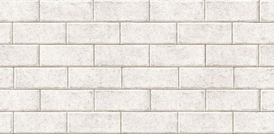 White Concrete Block (88641-1)