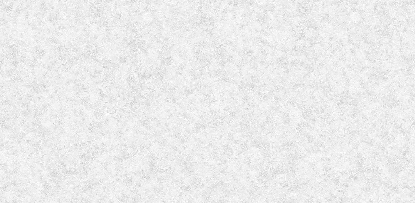 bright white stucco (88646-1)