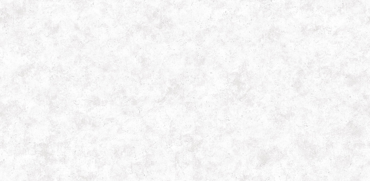 bright white concrete/plaster (88647-1)