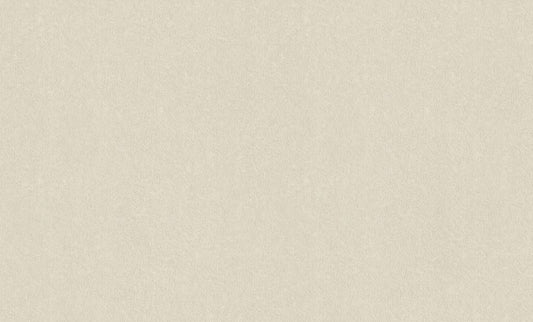 Faint Linen Texture (949940)