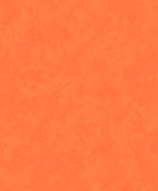Discount Sale(A 20813)