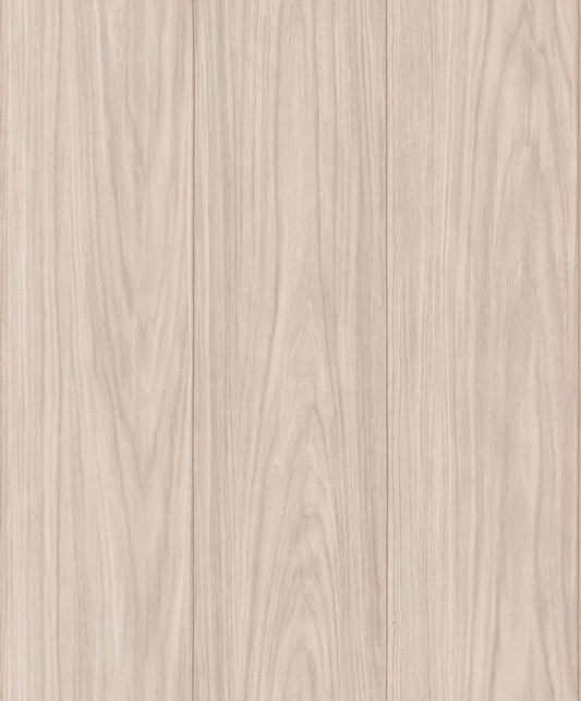 Discount Sale(A26301)